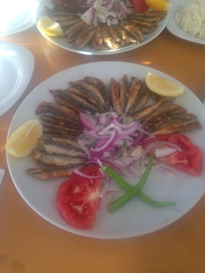 Türkeli Omer Deniz Motel المظهر الخارجي الصورة